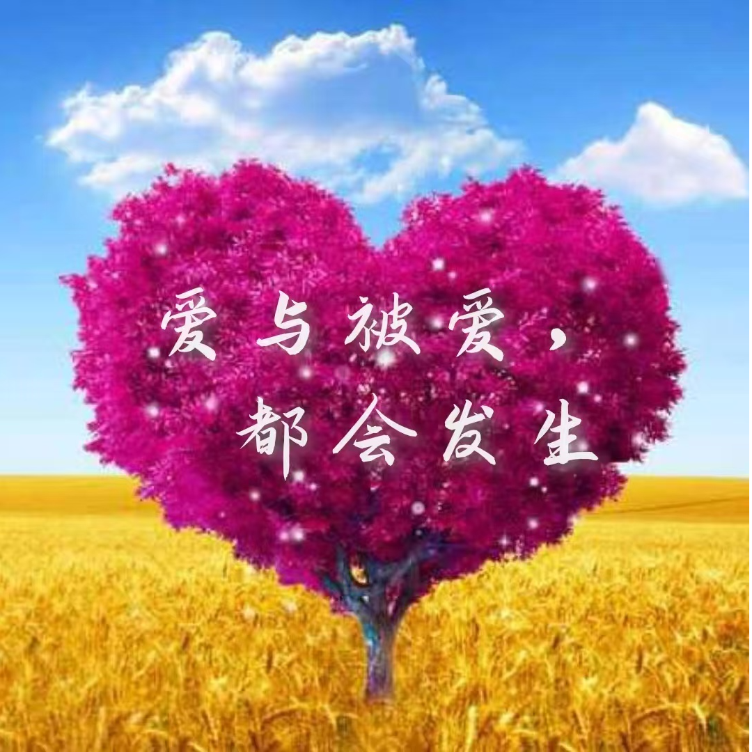 如愿婚恋
