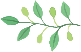 5.png